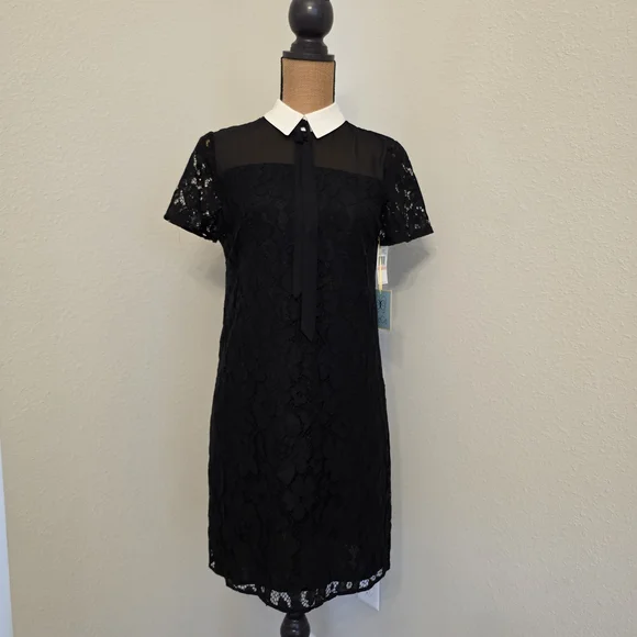 CeCe Black Lace Mini Dress with White Collar - Picture 5 of 5